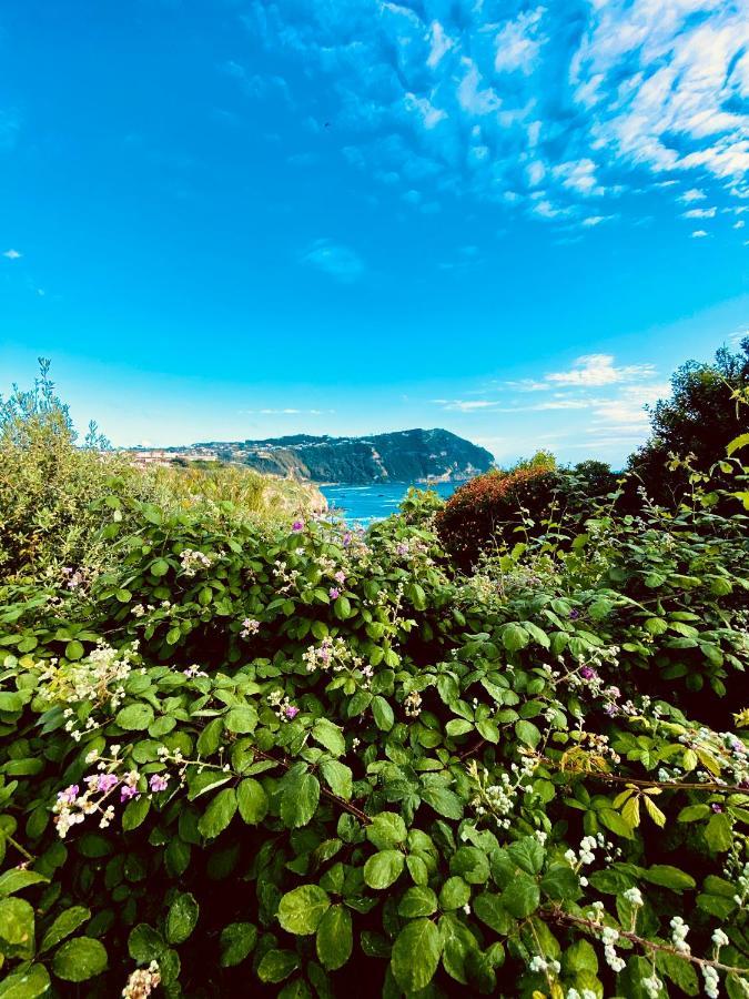 La Fortezza Forio di Ischia Eksteriør billede